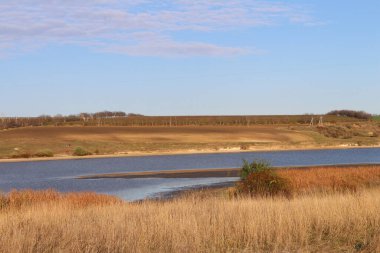 Bir nehir ve bir ağaçla sonbahar manzarası