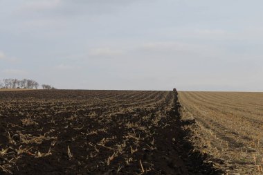 Arkasında geniş bir toprak bulunan tarlalar.