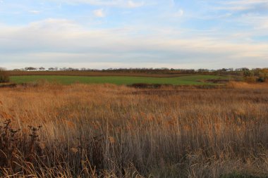 Doğanın güzel manzarası