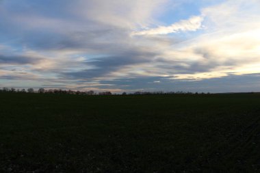 Gün batımı ışığı ve mavi gökyüzü olan bir tarla..