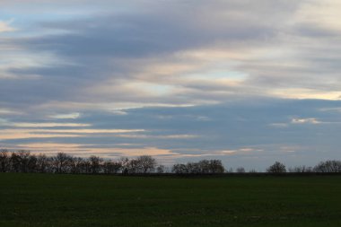Kışın yeşil bir tarlada gün batımı
