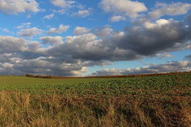 sonbahar tarlaları ve çayırlar
