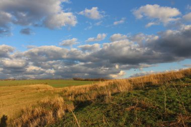 Sarı çimenler ve mavi gökyüzü ile sonbahar tarlası