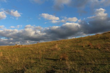 Ağaçlarla kaplı güzel bir manzara.