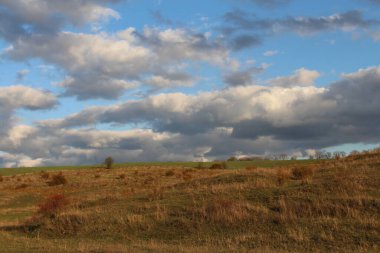 Akşamları sonbahar tarlası