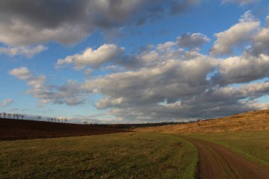 Ağaçlarla dolu bir tarlası ve bulutlu bir gökyüzü olan güzel bir manzara.