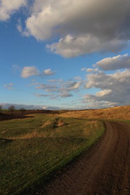 Buğday tarlası ve mavi gökyüzü olan güzel bir manzara.