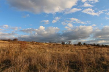 Kuru çimenler ve bulutlu mavi gökyüzü ile sonbahar manzarası.