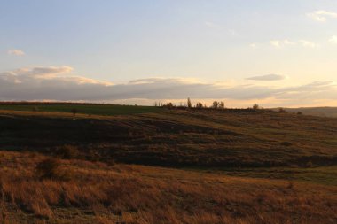 Tarlada güzel bir gün batımı