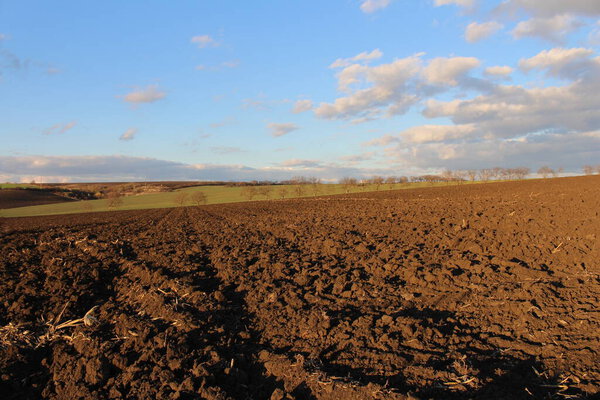 Весеннее поле