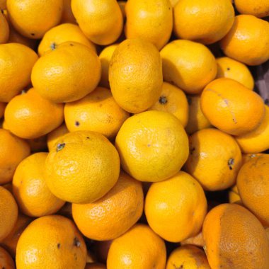 İspanya 'da bir markette taze portakal meyvesi