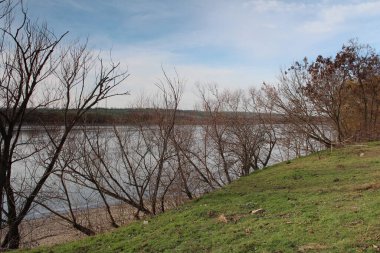 Sonbahar ormanlarında nehir, doğa.
