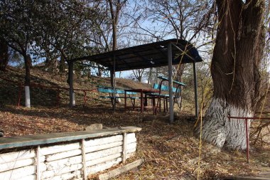 Ormanda terk edilmiş bir ev..