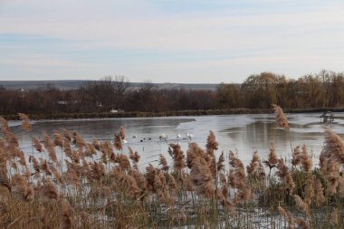 Arkasında nehir ve göl olan kış manzarası