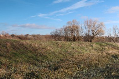 Mavi gökyüzünün altında kuru otlarla çevrili boş bir arazinin güzel bir görüntüsü.
