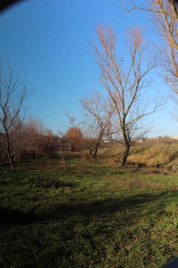 Parkın güzel manzarası