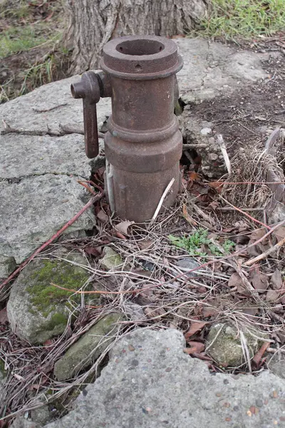 old well in garden