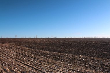 alan ve mavi gökyüzü beyaz bulutlar ile