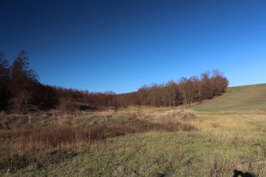 Kırsalda sonbahar manzarası