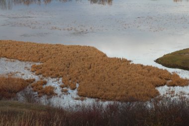 Arka planda nehir ve göl olan güzel bir manzara.