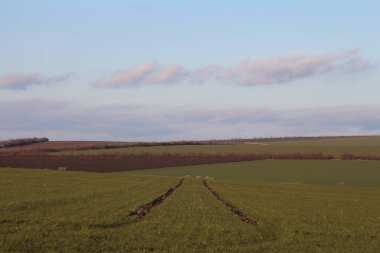 Kırsal manzara gün batımında