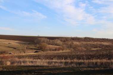 Sonbahar manzarası. güzel doğa.