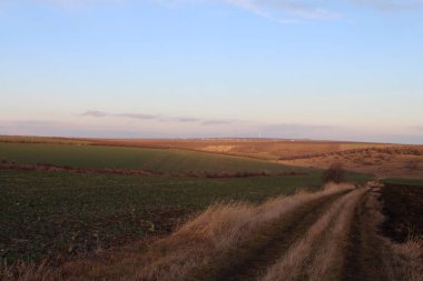 Yeşil çimenleri ve mavi gökyüzü olan güzel bir tarla görüntüsü.