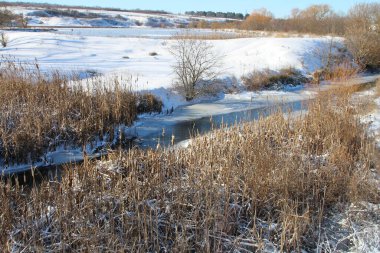 donmuş nehir kışın karlı ve ağaçlı