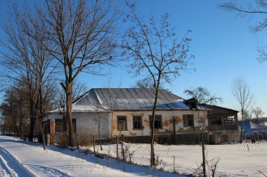 Kar ve ağaçlarla kaplı kış manzarası