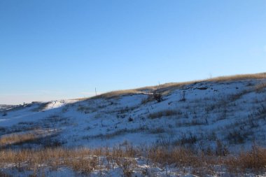 Karla kaplı ağaçlarla kaplı kış manzarası