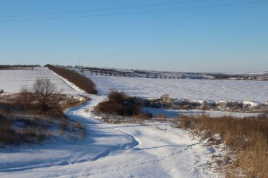 Ormanda yolu olan kış manzarası