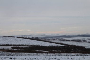Kış manzarası, kar ve ağaçlar