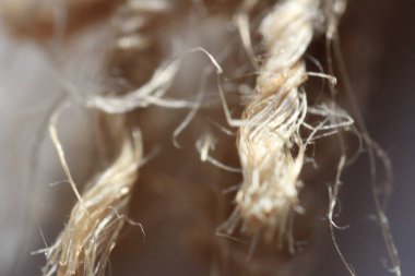 Kuru bir fabrikanın yakınında.