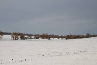 Rusya 'da kış manzarası