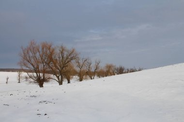 Kar ve ağaçlarla kaplı kış manzarası
