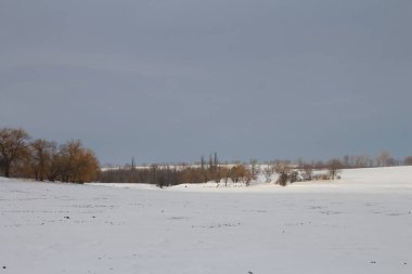 Karlı bir kış çayırının manzarası - beyaz ve gri renkli.
