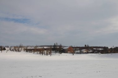 Karla kaplı ağaçlarla kaplı kış manzarası