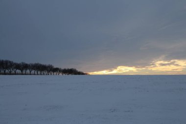 Karla kaplı kış manzarası