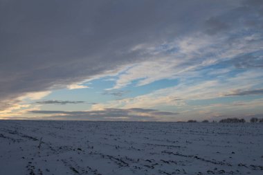Arkaplanda buğday tarlası ve büyük beyaz buğday tarlası olan kış manzarası, kış mevsimi konsepti.