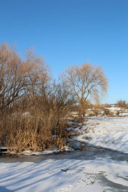Kar ve ağaçlarla dolu güzel kış manzarası