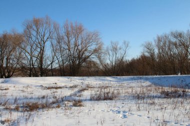 Kar ve ağaçlarla kaplı kış manzarası