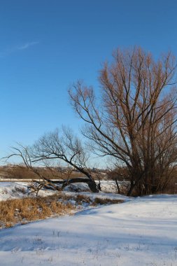 Karlı kış manzarası