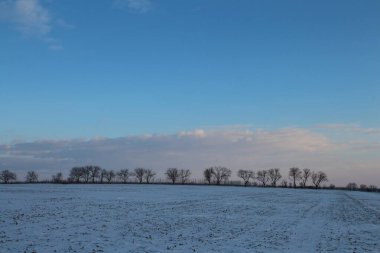 Karlı kış manzarası