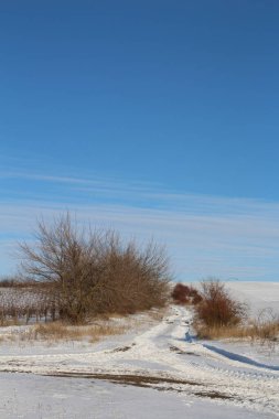 Doğanın güzel manzarası