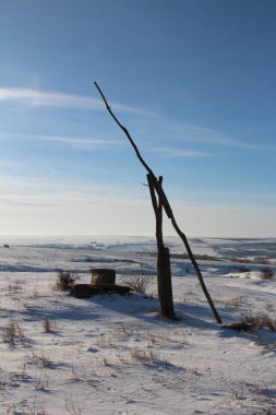 Baltık Denizi sahilinde tahta bir direk.