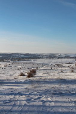 Kar ve ağaçlarla kaplı kış manzarası. Tarlada kış günü