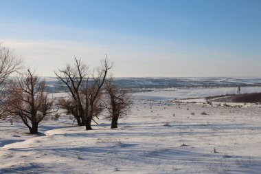 Bir kış tarlası ve küçük bir köyü olan bir manzara.