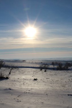 Kar ve ağaçlarla kaplı kış manzarası