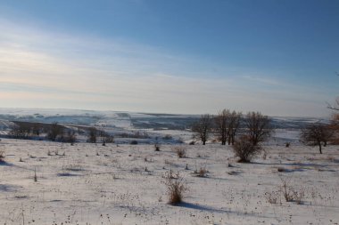 Ağaçlar ve karla kaplı güzel kış manzarası