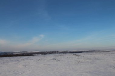 Karla kaplı ağaçlarla kaplı güzel kış manzarası